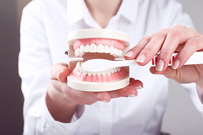 Holley Dental Care | Oral Exams, Implant Dentistry and Dental Bridges