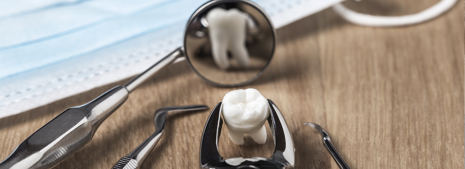 Holley Dental Care | Dental Cleanings, Sedation Dentistry and Preventative Program